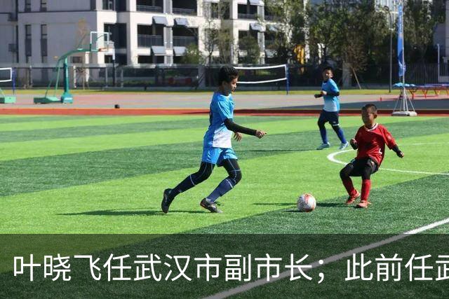 叶晓飞任武汉市副市长；此前任武汉市地方金融管理局局长，9月公示拟任正厅级职务
