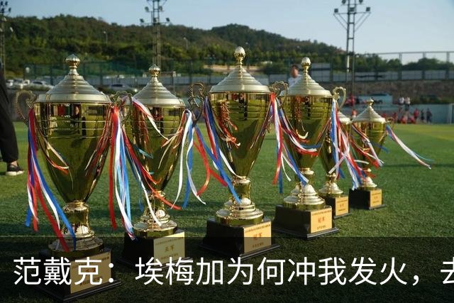 范戴克：埃梅加为何冲我发火，去问他，他想通过什么进荷兰队