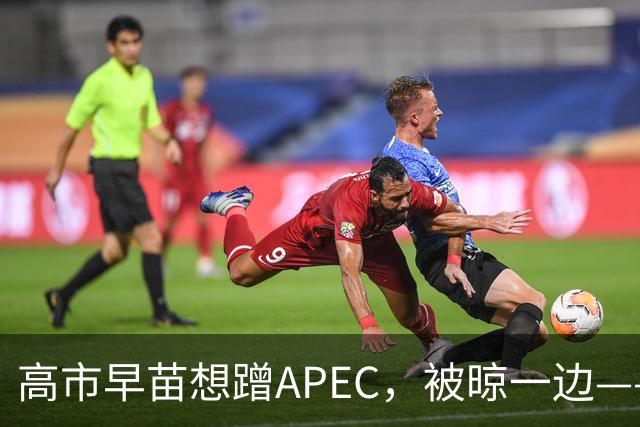 高市早苗想蹭APEC，被晾一边——这台阶修成滑梯还铺“鬼火”，滑不滑稽？